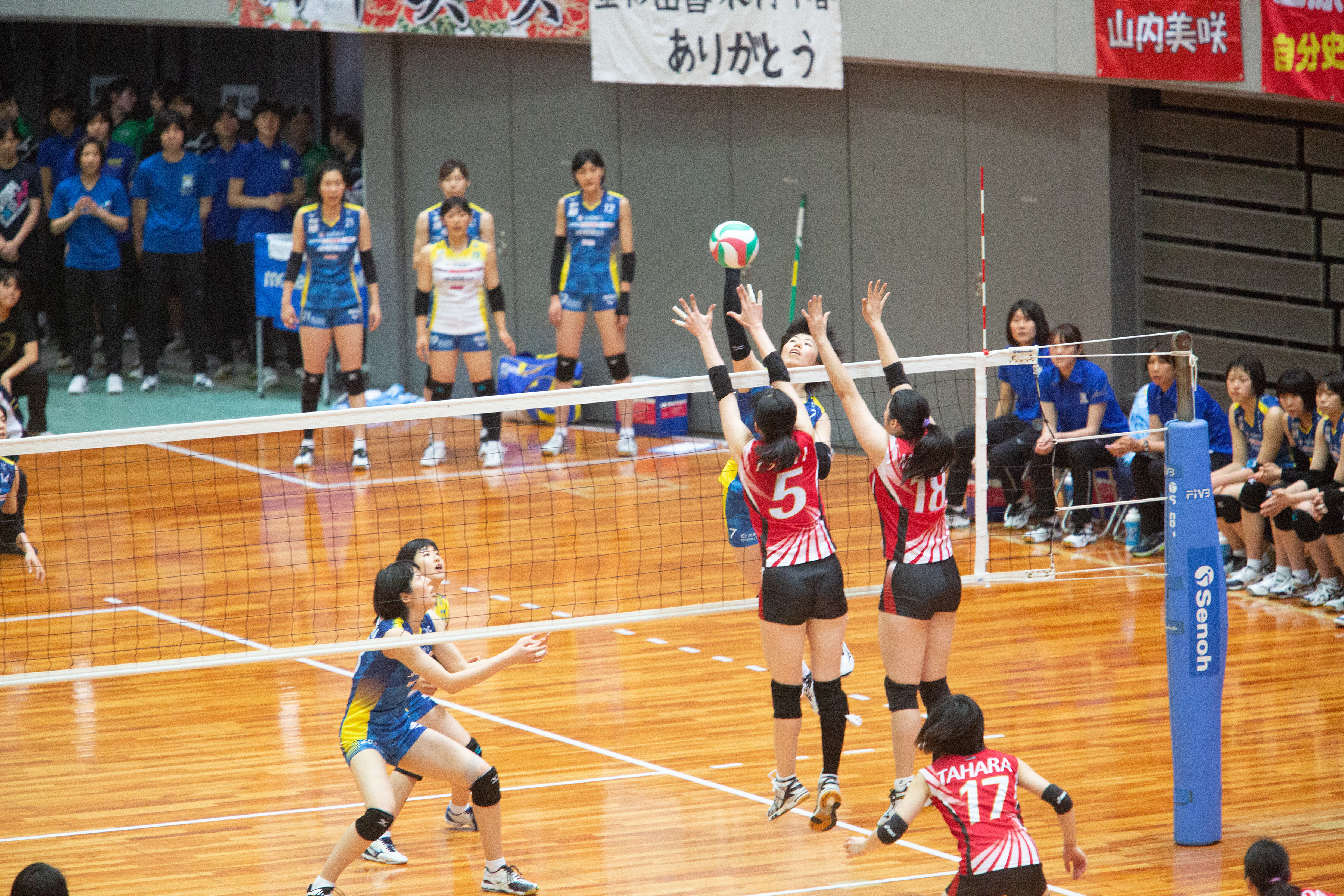 0O9A3467.jpg