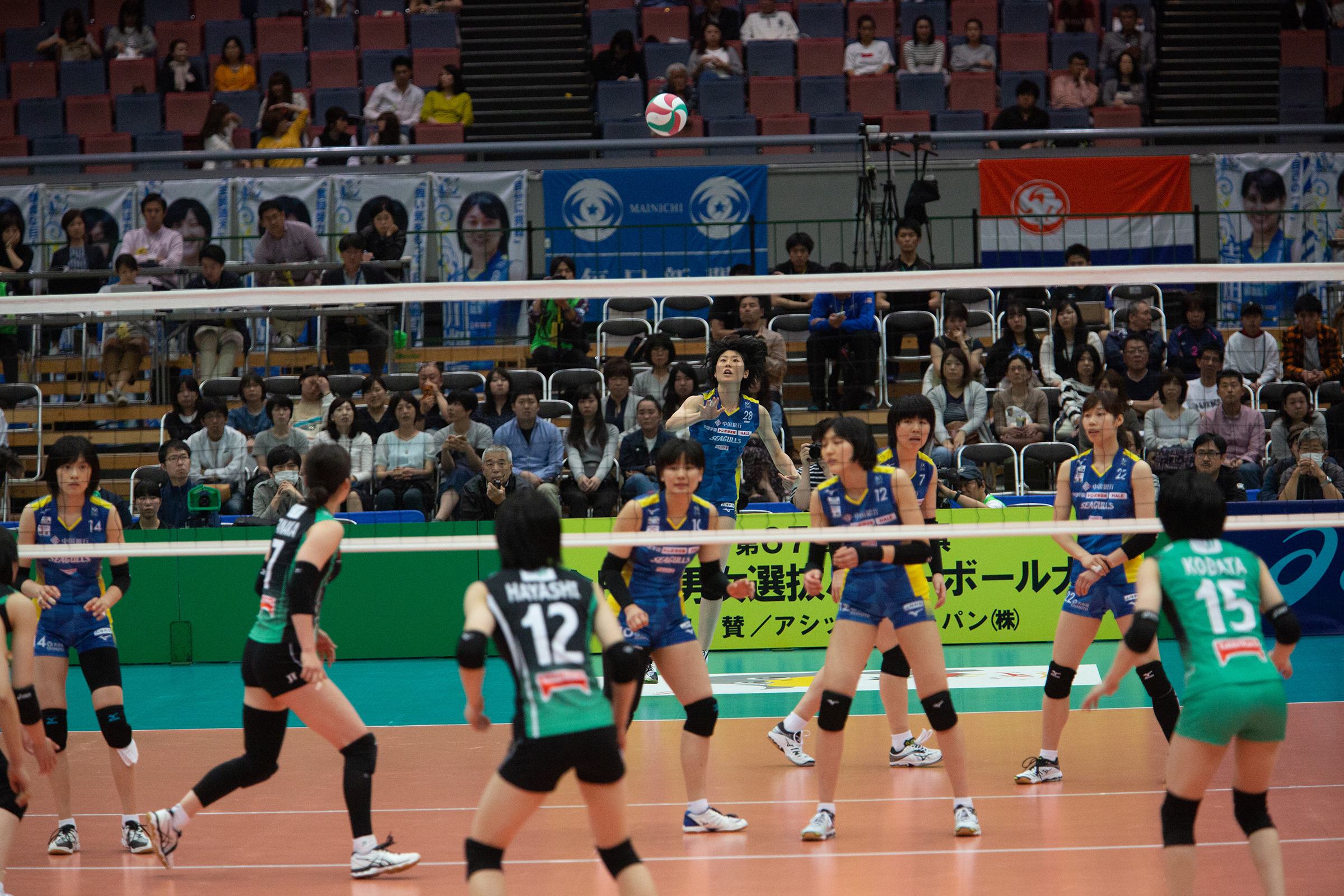 0O9A4434.jpg