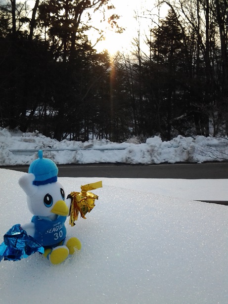20150207_164139.jpgyy.jpg