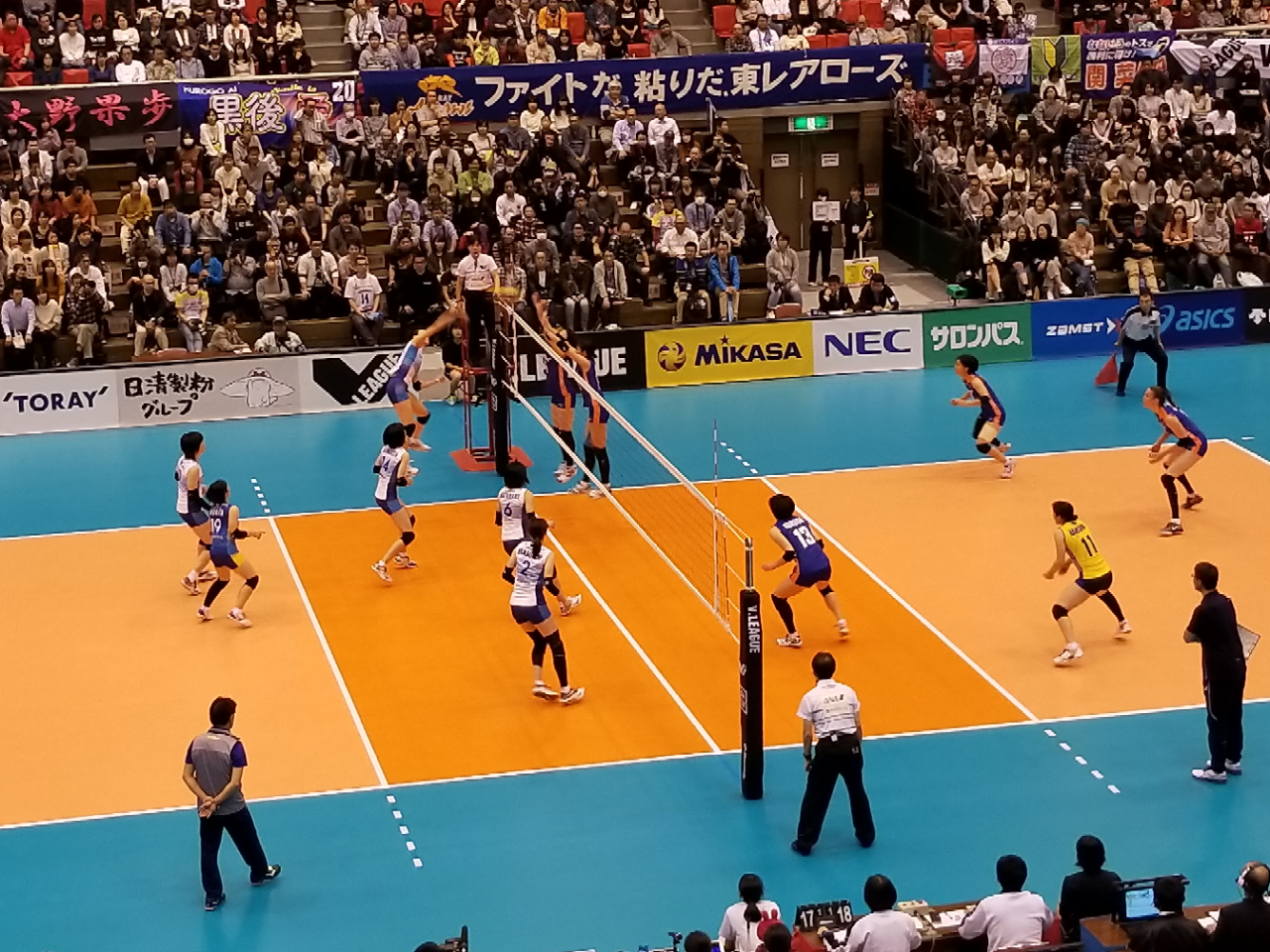 20181110_131202.jpg