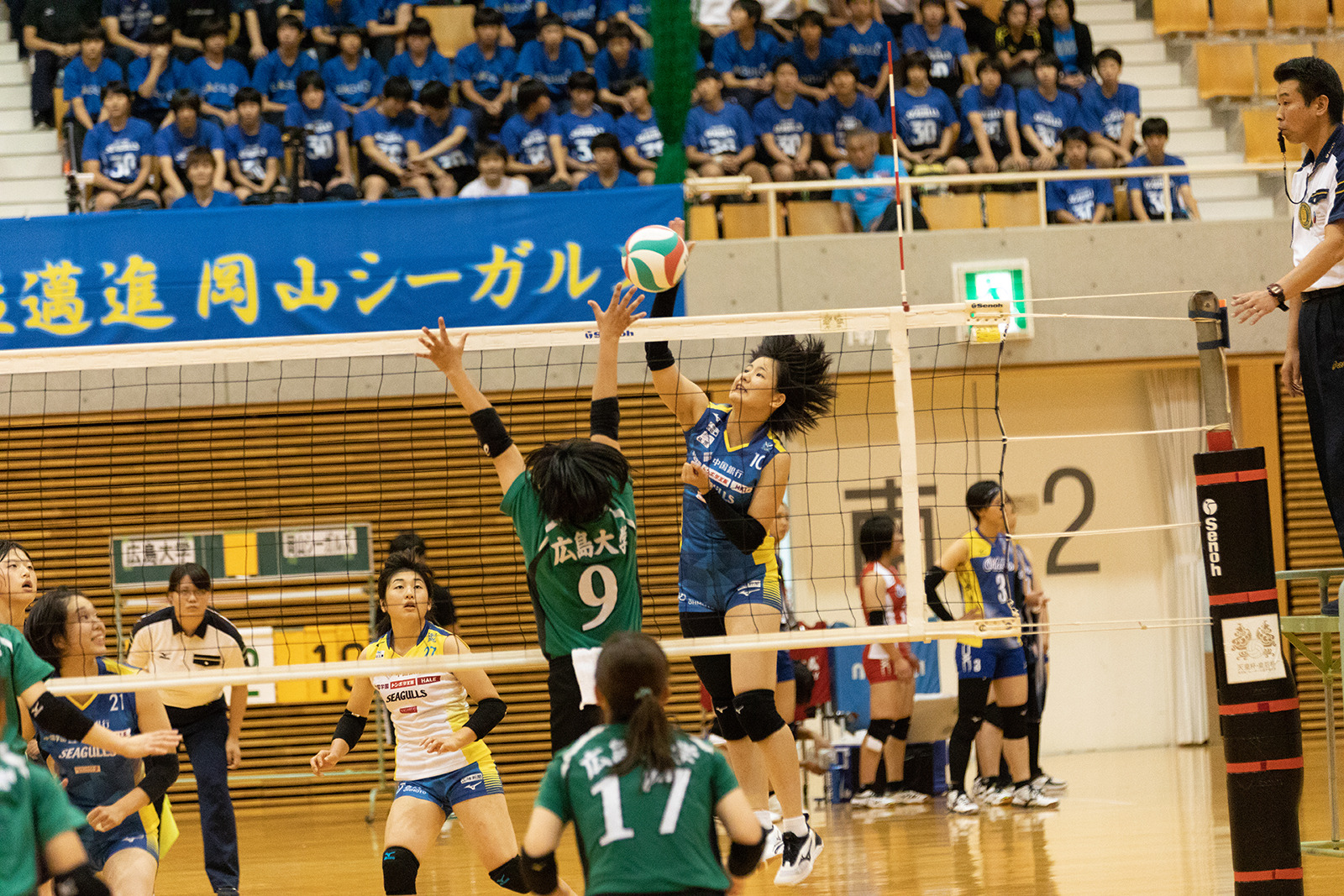 2M6A2684.jpg
