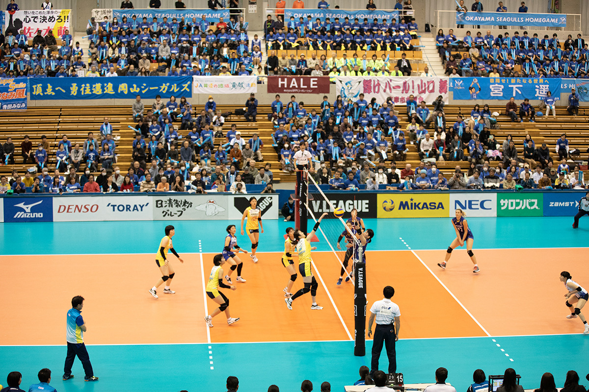 2M6A3665.jpg