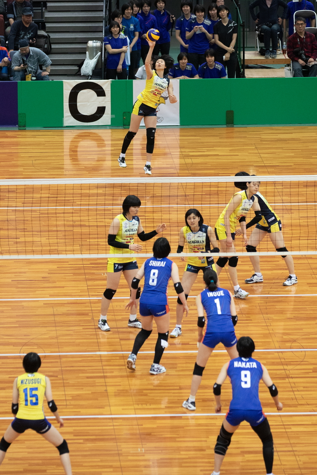 2M6A6584.jpg