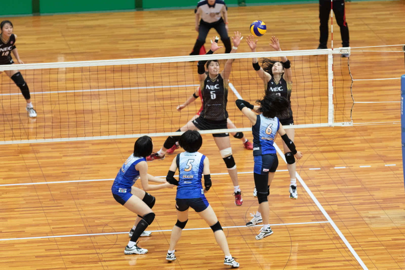 2M6A7462.jpg