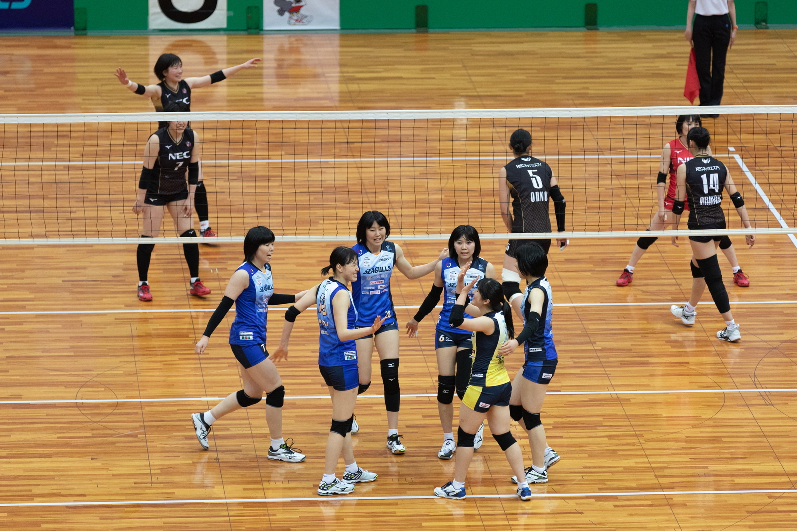 2M6A7581.jpg
