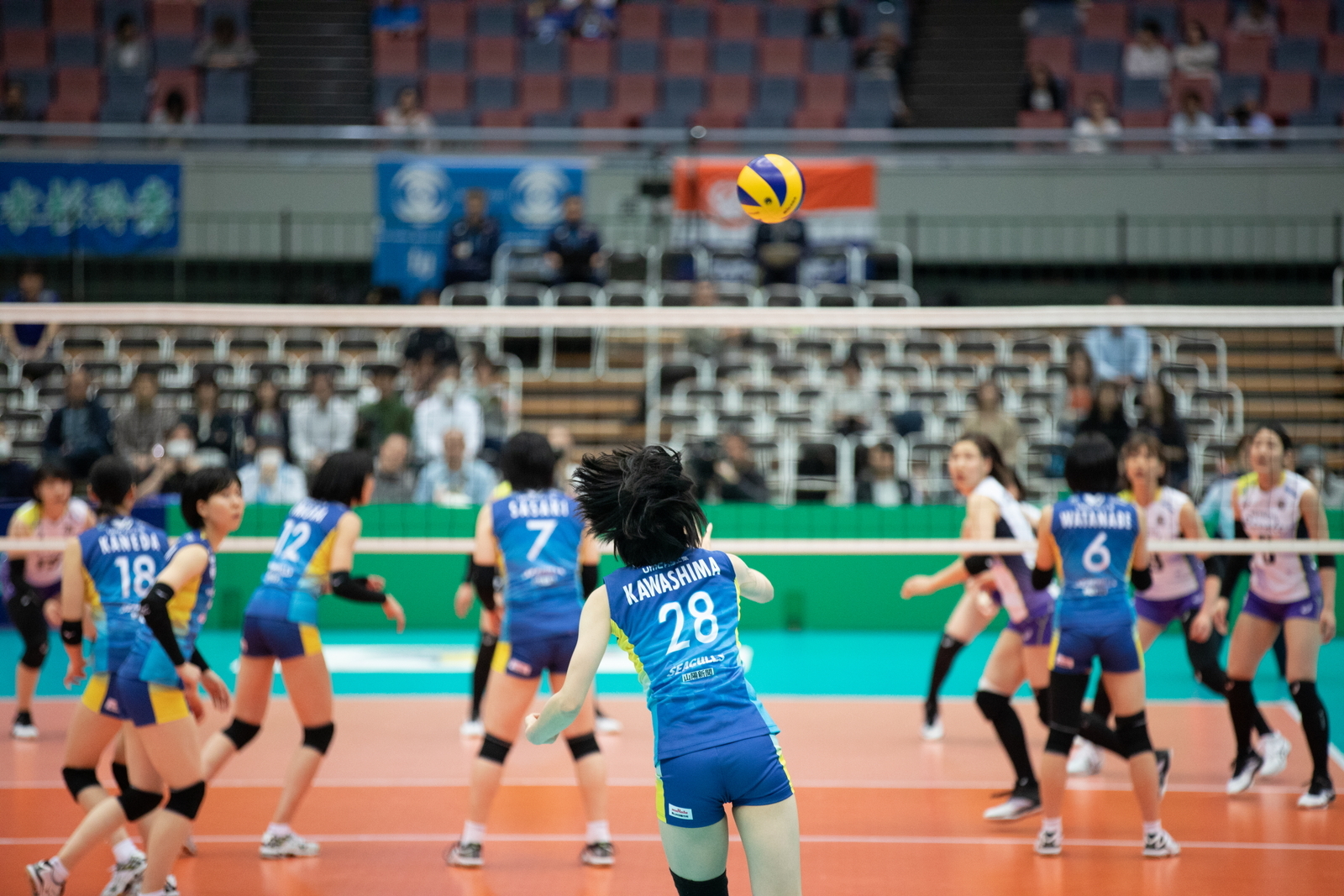 2M6A7737.jpg