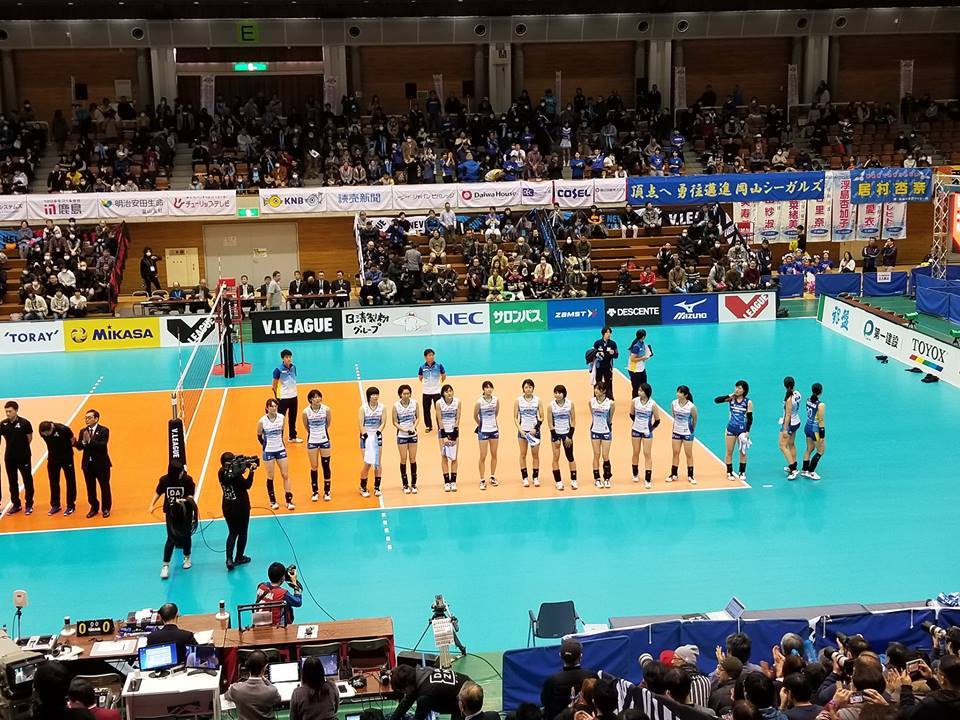 51547869_2191839980878052_1034873400763351040_n.jpg