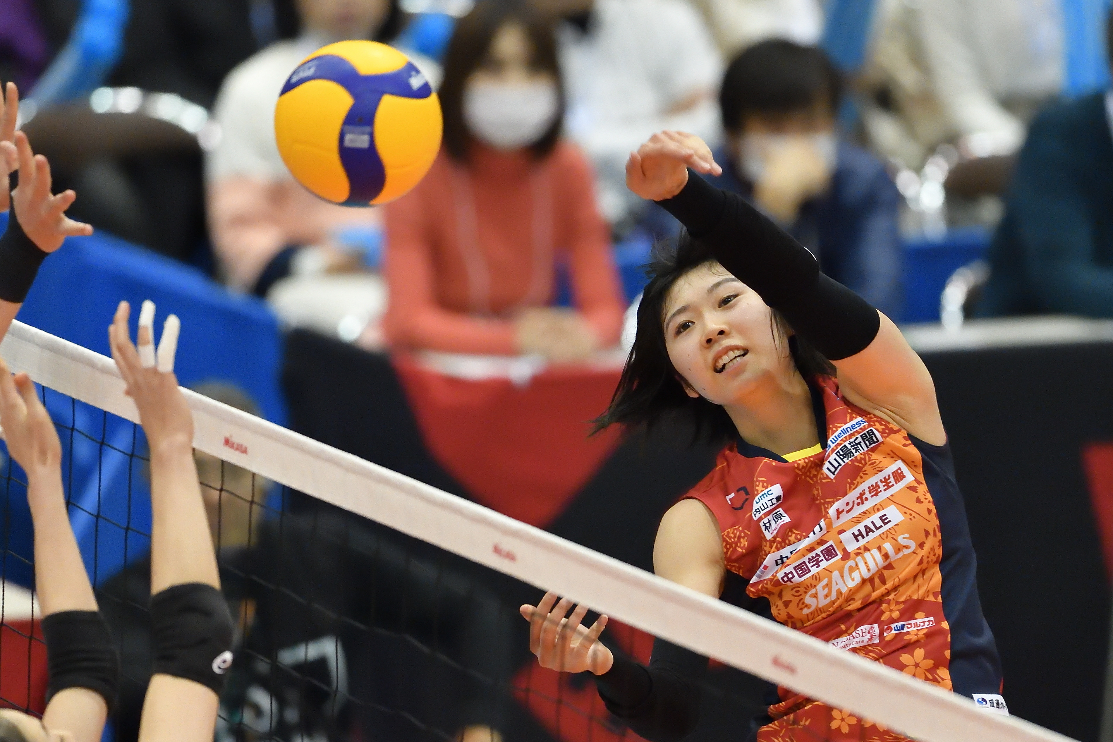 5C7D1869-6AA8-4021-897B-A0A509AE4199.jpg