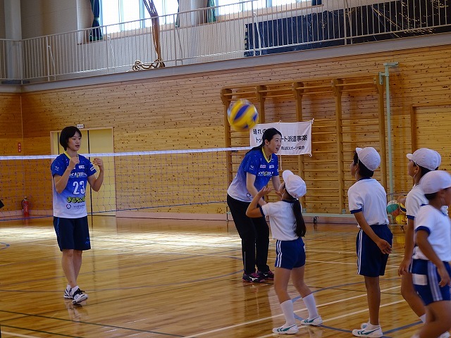 DSC01179.jpg