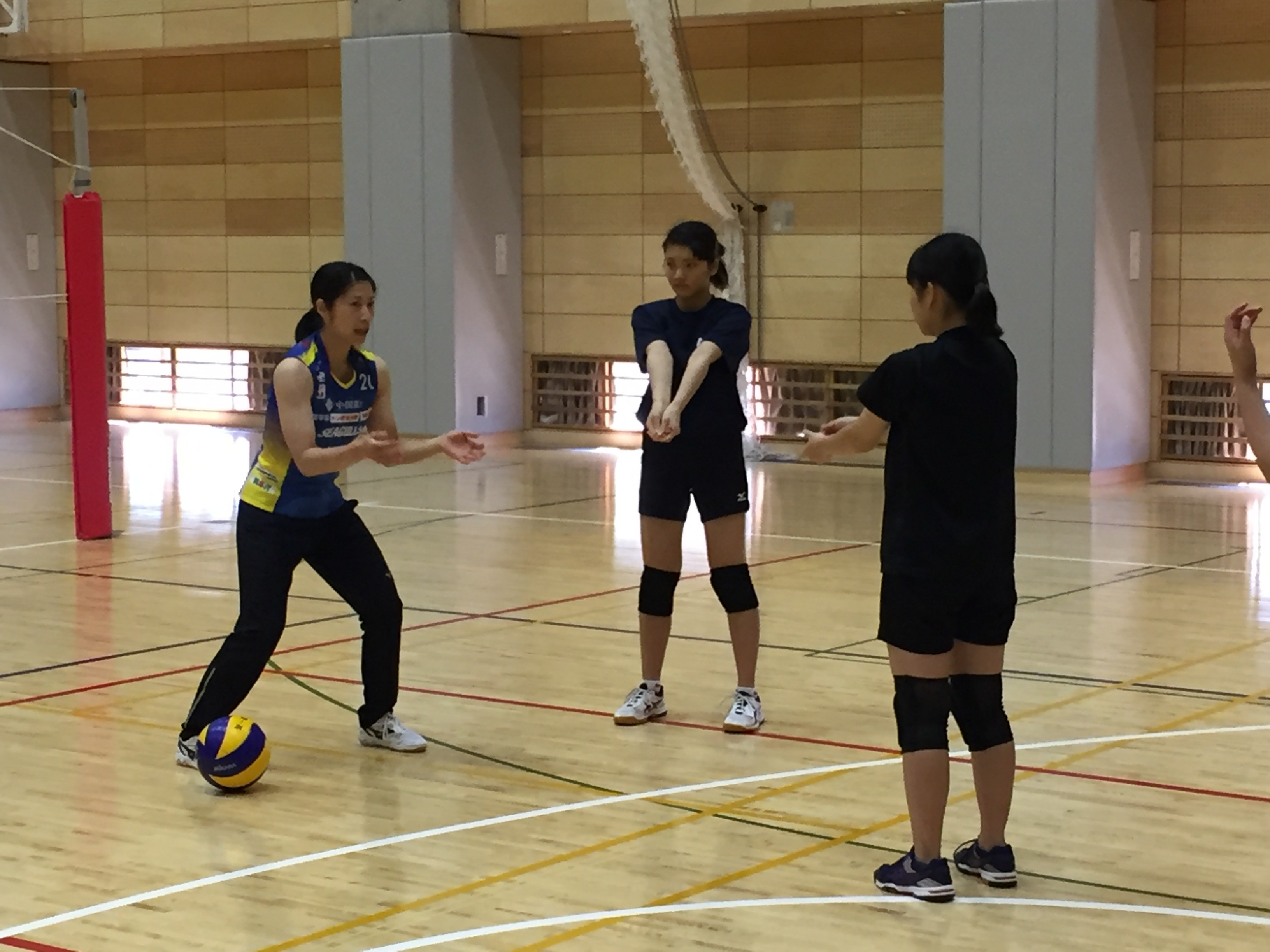 繧キ繝シ繧ォ繧吶Ν繧ケ繧吝・逵歃IMG_0949.JPG