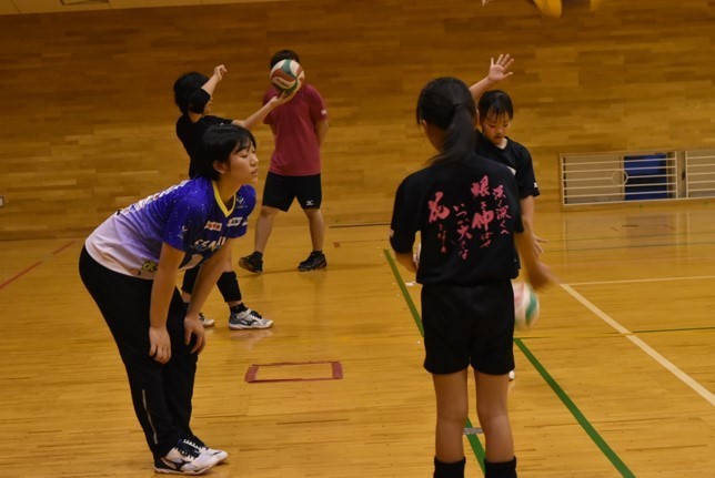 高梁2.jpg