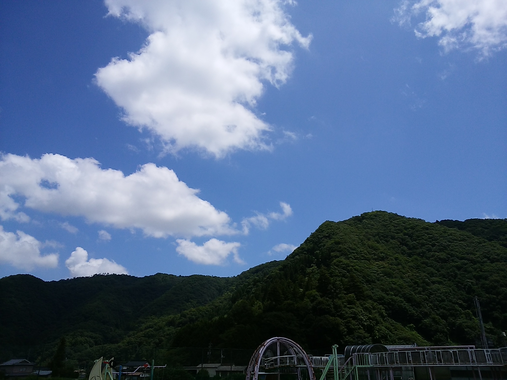 IMG_20170805_120943.jpg