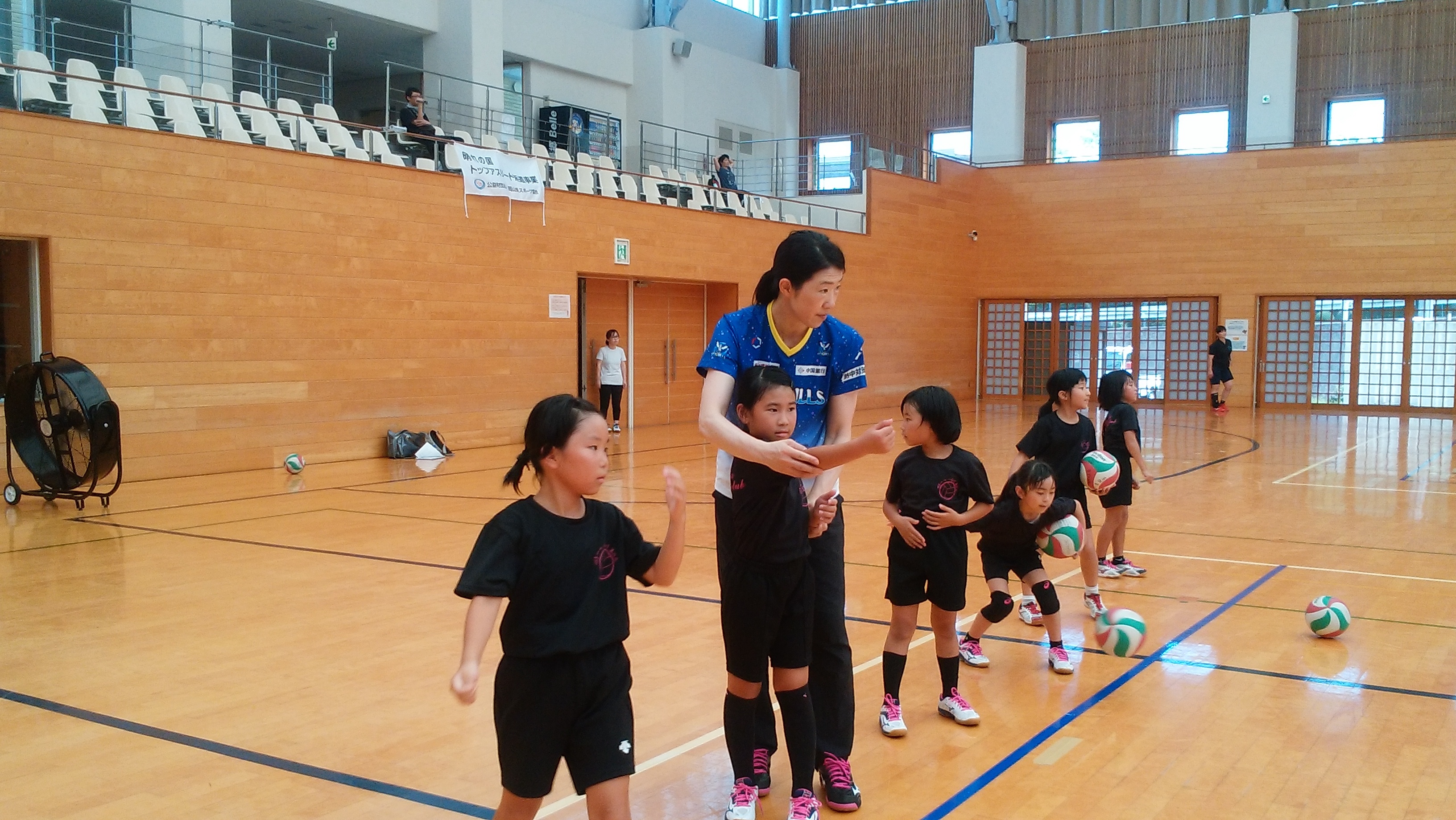 IMG_20190810_113231.jpg