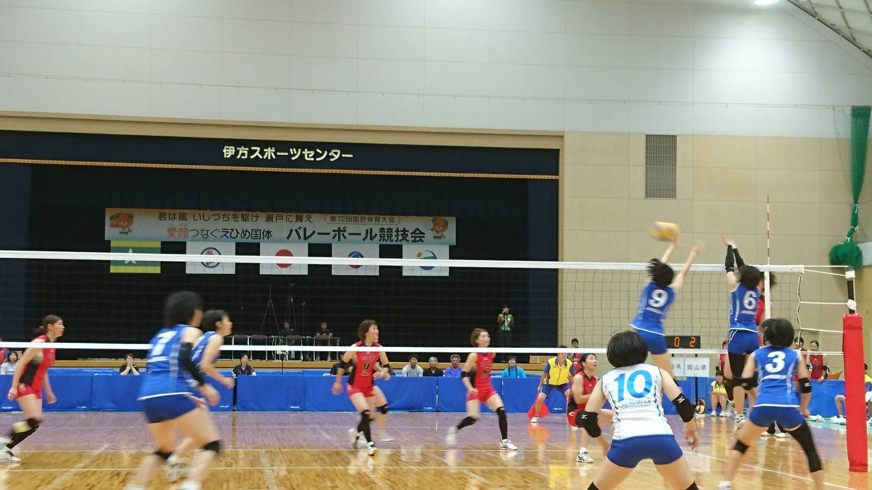 S_6809908547924.jpg
