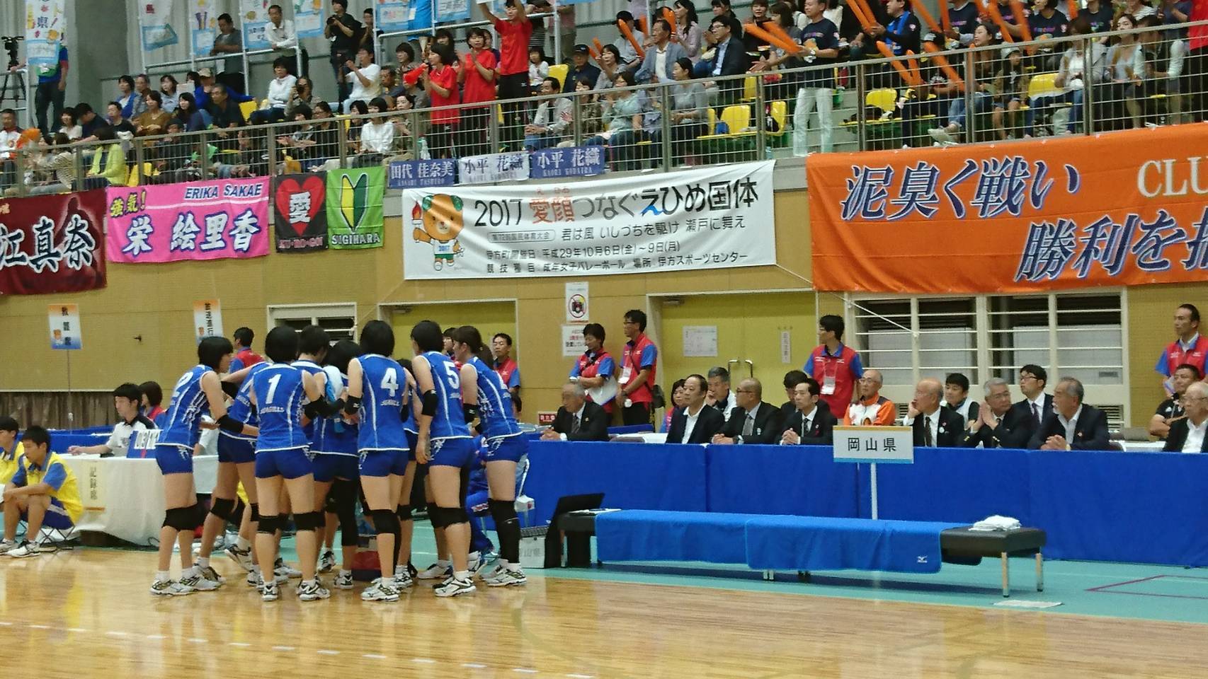 S_6809908583002.jpg