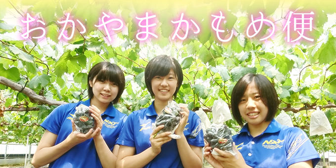 img_kamomebin_top.png